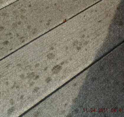 Portico Decking Problems (image courtesy Hagens Berman)